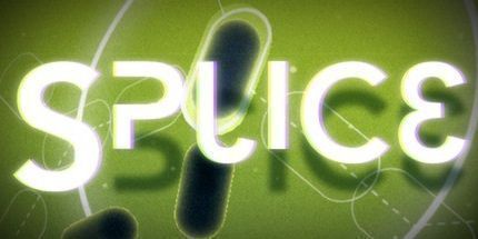 御三家Game-序列拼接