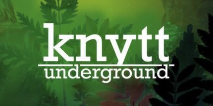 御三家Game-尼特的故事：地下探险