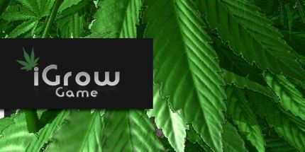 御三家Game-iGrow游戏