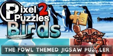 御三家Game-像素解谜2：鸟