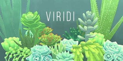 御三家Game-肉肉