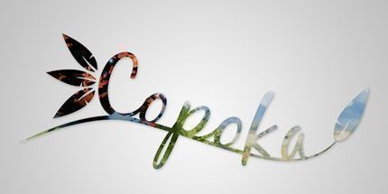 御三家Game-Copoka