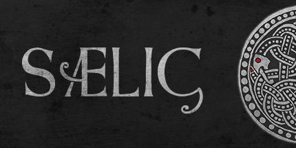 御三家Game-赛利格