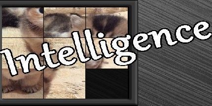 御三家Game-智力