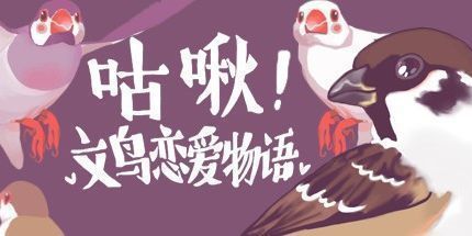 御三家Game-咕啾！文鸟恋爱物语