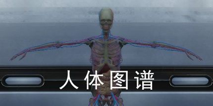 御三家Game-人体图谱