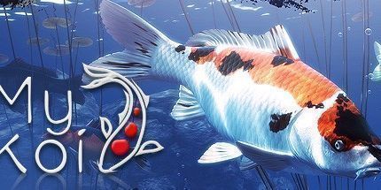 御三家Game-我的锦鲤