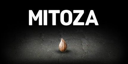 御三家Game-米托扎