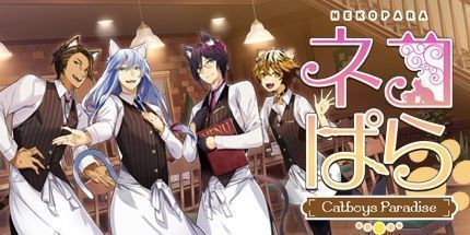 御三家Game-猫郎乐园