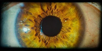 御三家Game-不朽