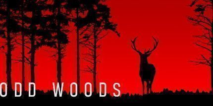 御三家Game-奇怪的树林