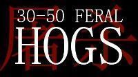 御三家Game-30-50头野猪