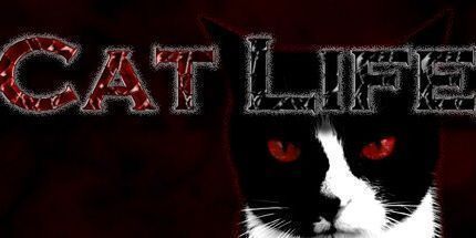 御三家Game-猫的生活