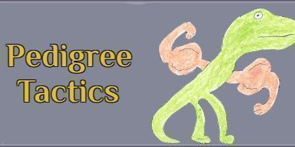 御三家Game-血统战术