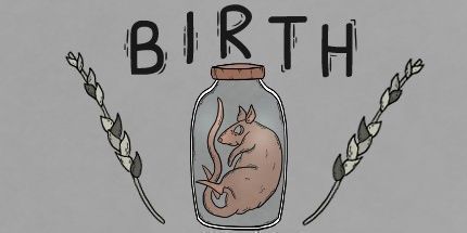 御三家Game-出生