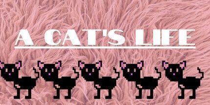 御三家Game-一只猫的生活