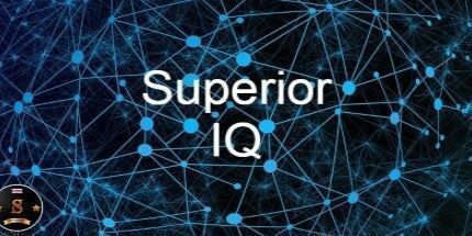 御三家Game-卓越的智商