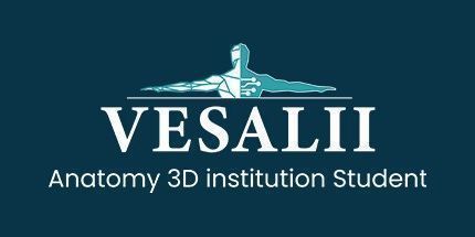 御三家Game-Vesalii解剖学3D机构学生