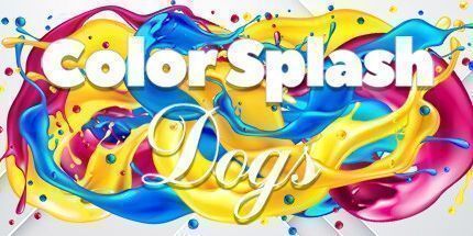 御三家Game-颜色飞溅: 狗