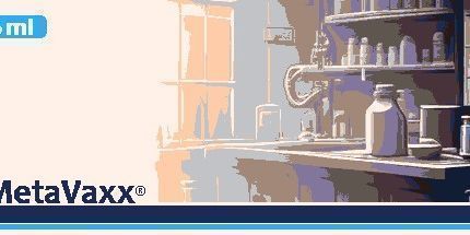 御三家Game-Metavaxx