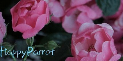 御三家Game-FlappyParrot