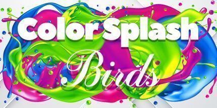 御三家Game-颜色飞溅: 鸟类