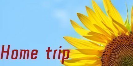 御三家Game-回家旅行