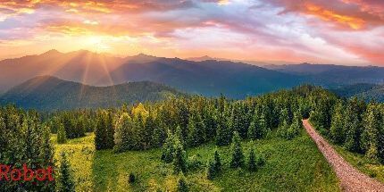 御三家Game-机器人