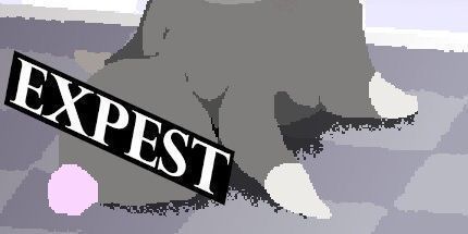 御三家Game-最贵的