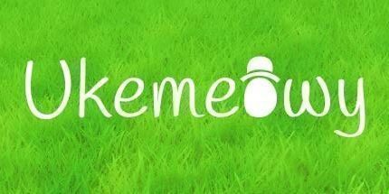 御三家Game-Ukemeowy