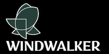 御三家Game-风行者