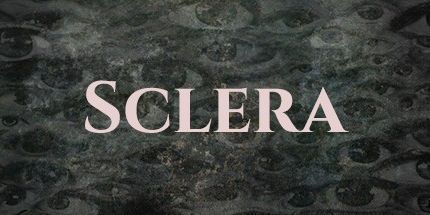 御三家Game-巩膜