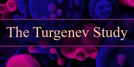 御三家Game-Turgenev研究