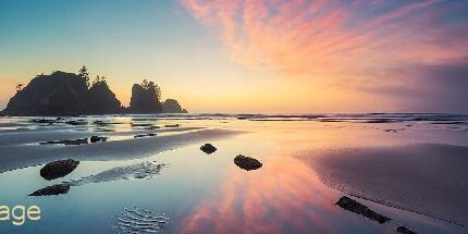 御三家Game-年龄