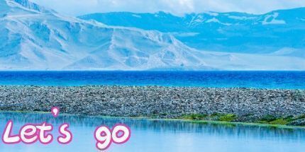 御三家Game-走吧