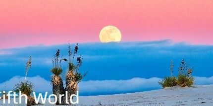 御三家Game-第五世界