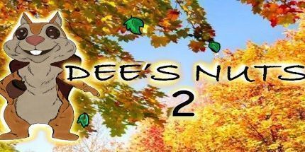 御三家Game-迪伊的坚果2