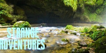 御三家Game-奇怪的冒险