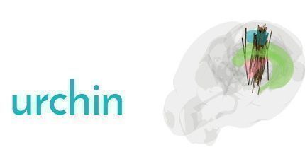 御三家Game-海胆