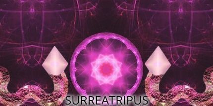 御三家Game-天球花园