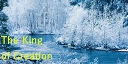 御三家Game-创造之王