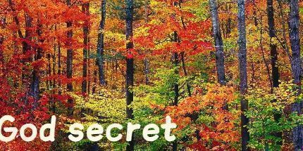 御三家Game-神的秘密