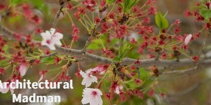 御三家Game-建筑狂人