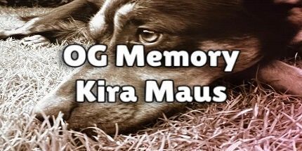 御三家Game-OG内存: Kira Maus