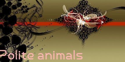 御三家Game-有礼貌的动物