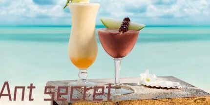 御三家Game-蚂蚁秘密