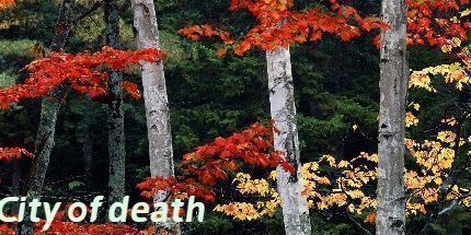 御三家Game-死亡之城