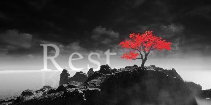 御三家Game-休息