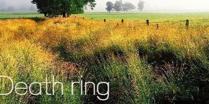 御三家Game-死亡戒指