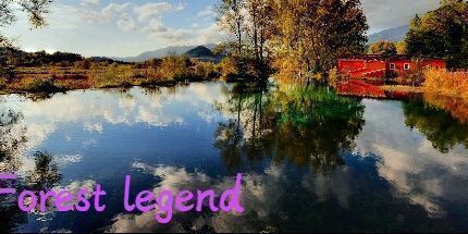 御三家Game-森林传说